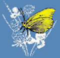 My Image